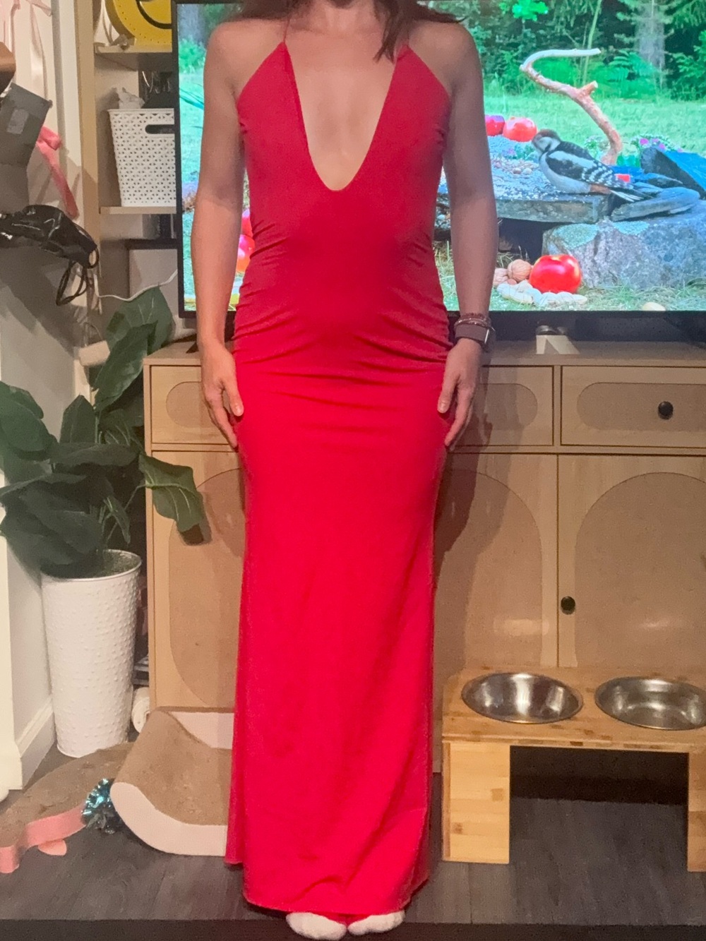 Fashion Nova Red Plunge Maxi Slip Dress